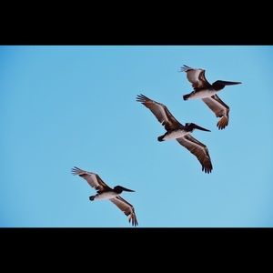 Meet your Posher, Ali